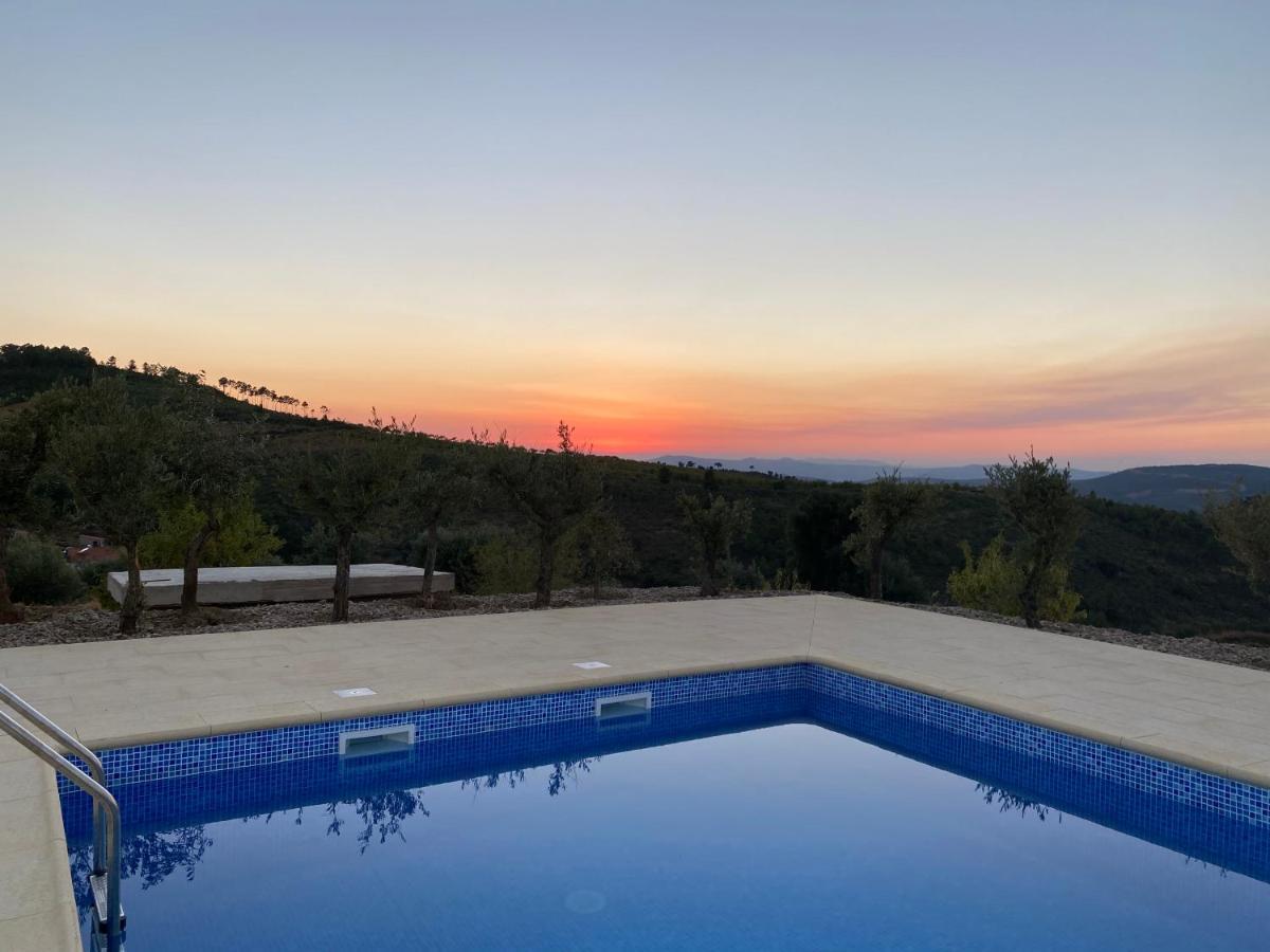 Desafios Da Horta Villa Souto da Velha Luaran gambar