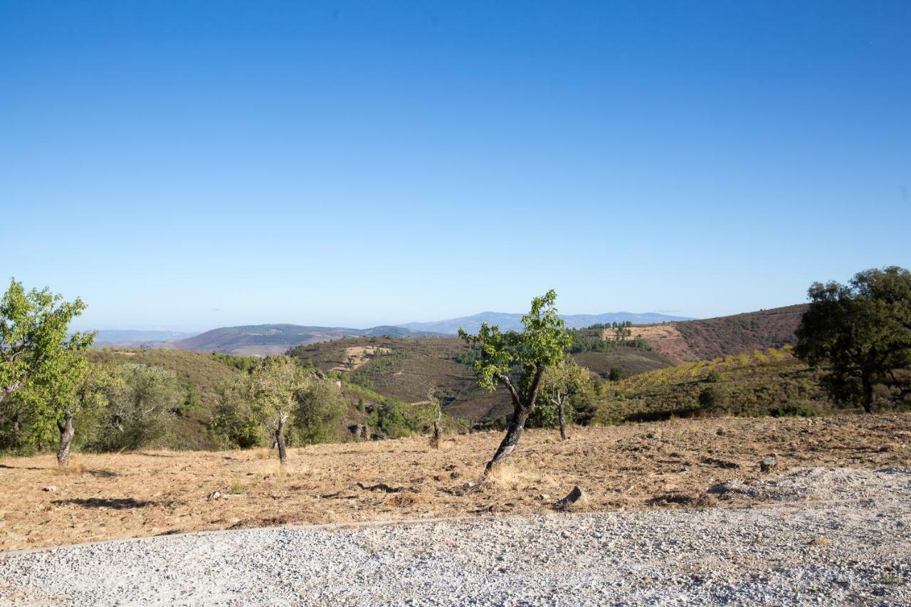 Desafios Da Horta Villa Souto da Velha Luaran gambar