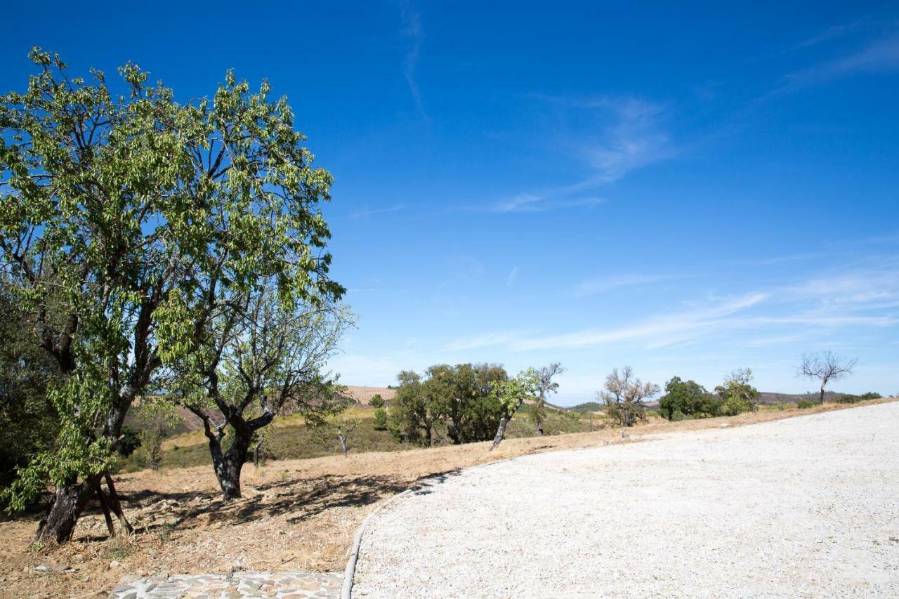 Desafios Da Horta Villa Souto da Velha Luaran gambar