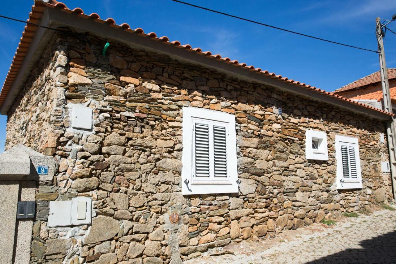 Desafios Da Horta Villa Souto da Velha Luaran gambar