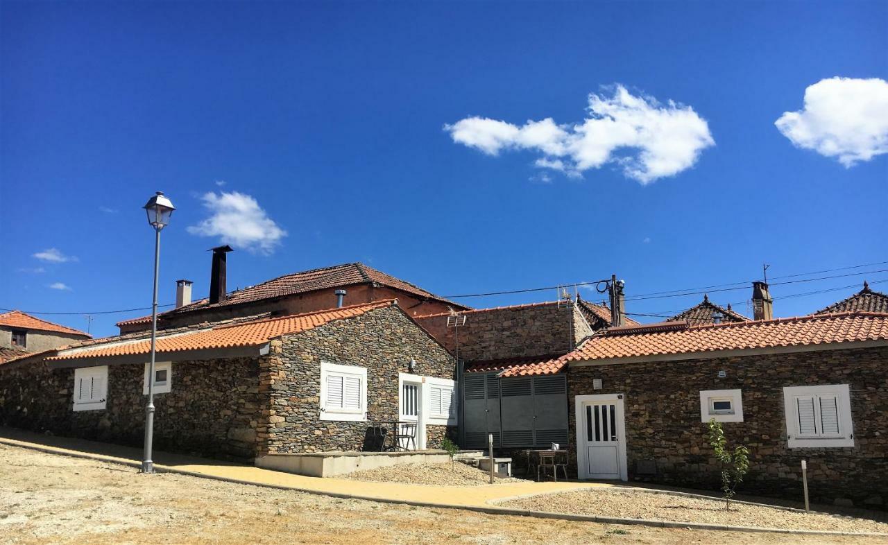 Desafios Da Horta Villa Souto da Velha Luaran gambar